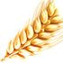 Wheat absolute